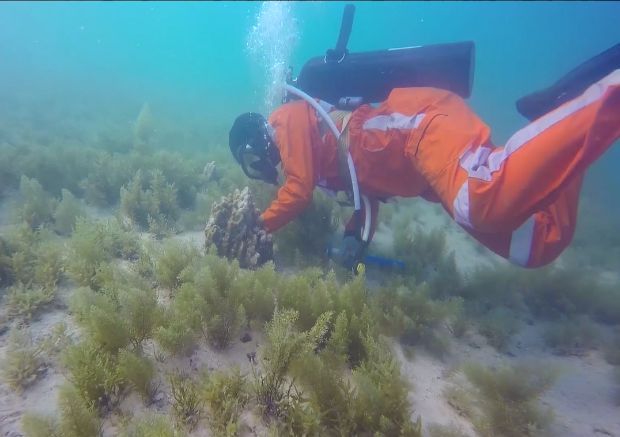 yl23455永利集团(中国)股份有限公司