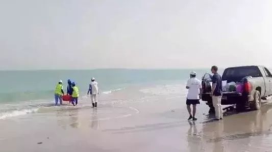 yl23455永利集团(中国)股份有限公司