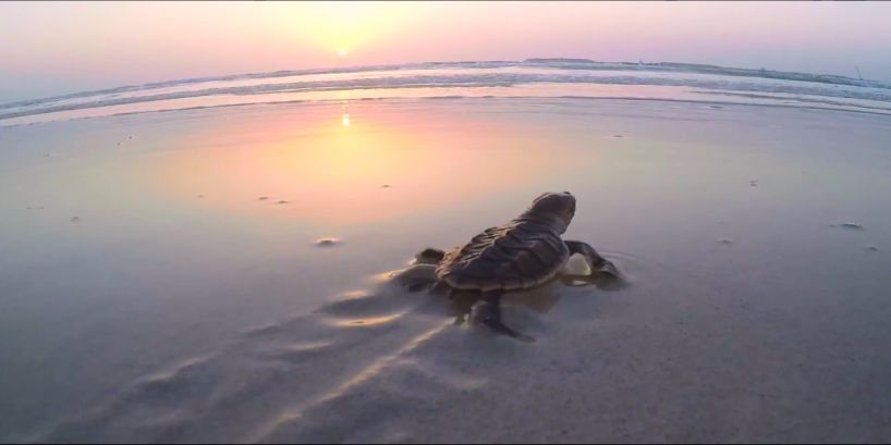 yl23455永利集团(中国)股份有限公司