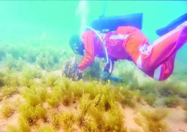 yl23455永利集团(中国)股份有限公司