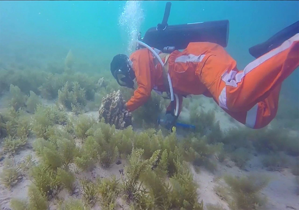 yl23455永利集团(中国)股份有限公司