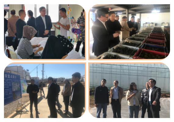 yl23455永利集团(中国)股份有限公司