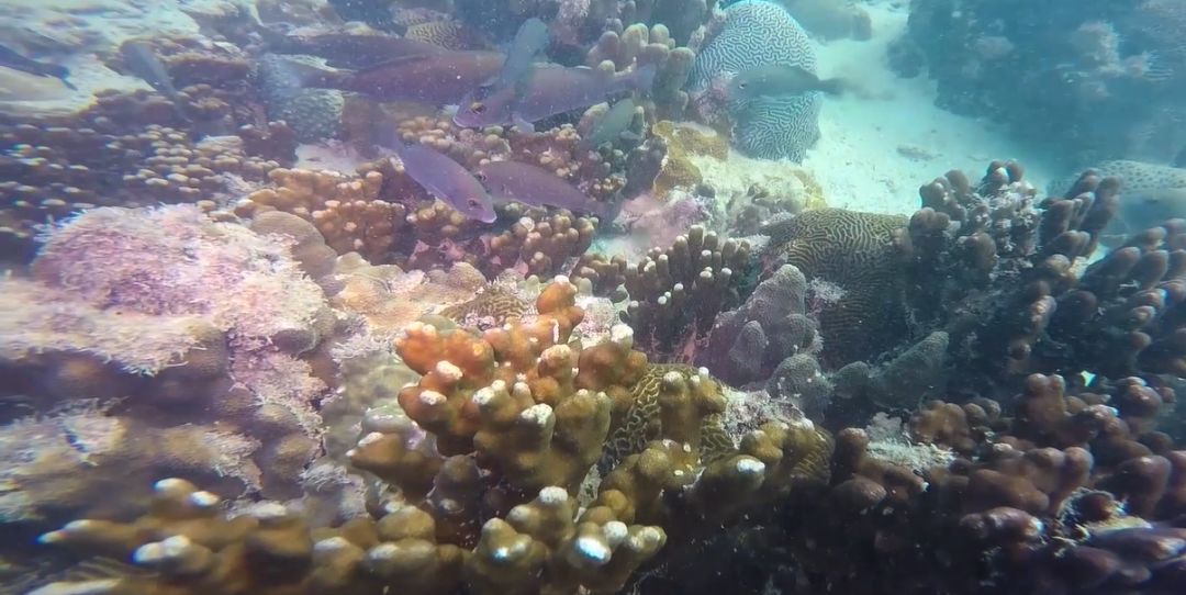 yl23455永利集团(中国)股份有限公司