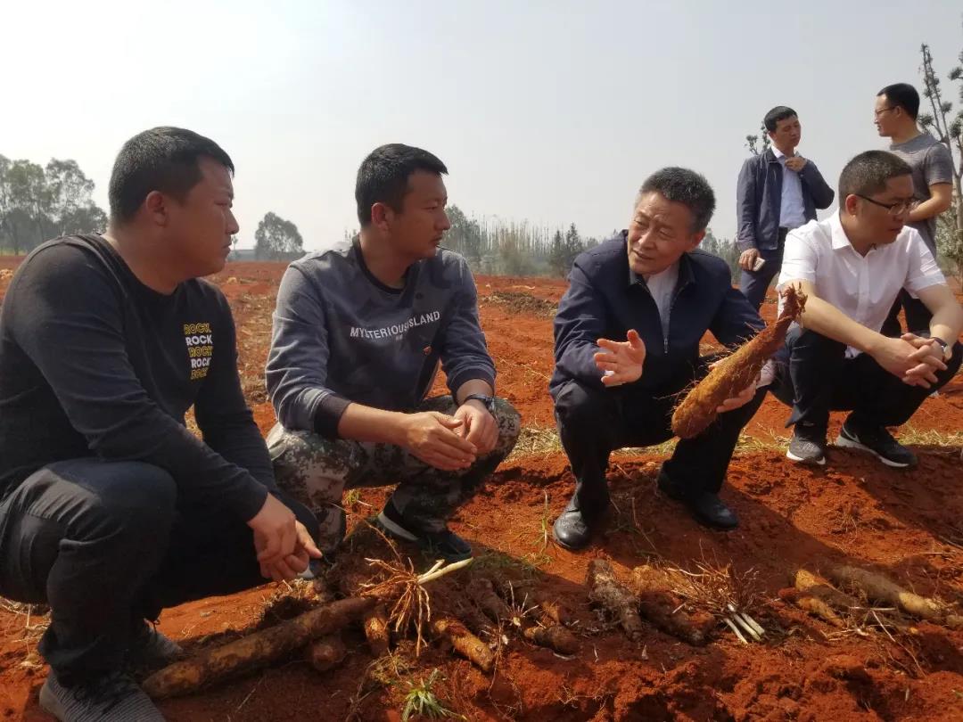 yl23455永利集团(中国)股份有限公司