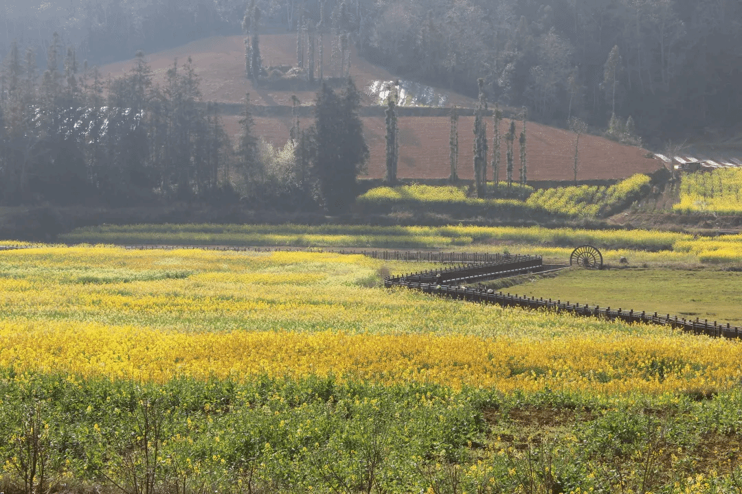 yl23455永利集团(中国)股份有限公司