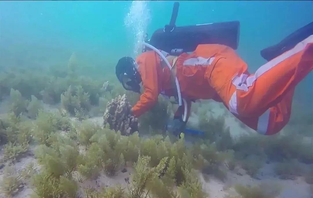 yl23455永利集团(中国)股份有限公司